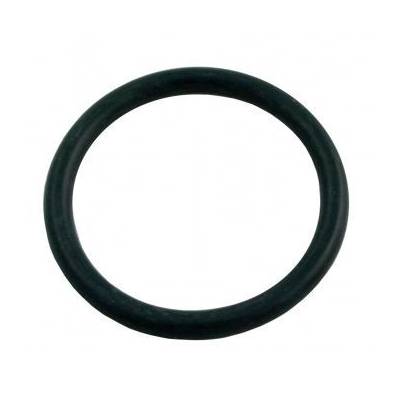 Hayward SP0410X Piston O-Ring, Small - SPX0410Z1