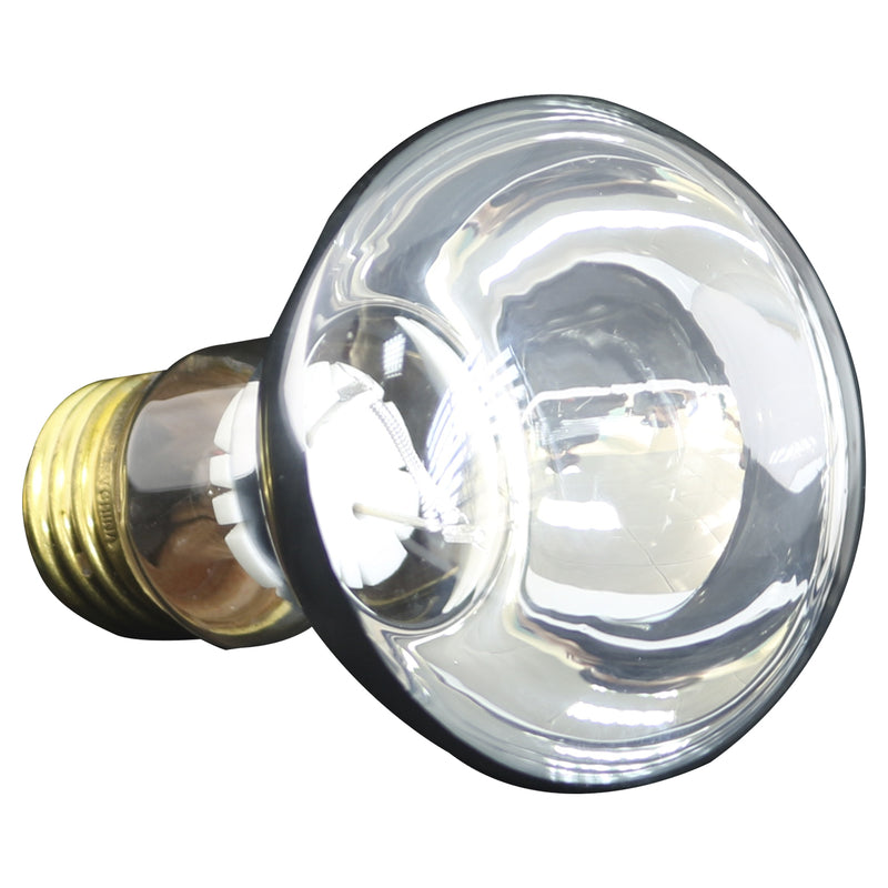 Hayward AstroLite II Incandescent 12V, 100W Bulb - SPX0550Z4
