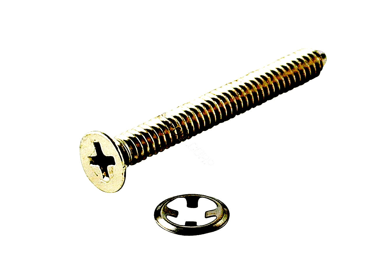 Hayward AstroLite II Lockscrew with Fastener - SPX0590Z2A