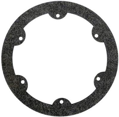 Hayward ColorLogic | AstroLite II 6" Gasket - SPX0608G