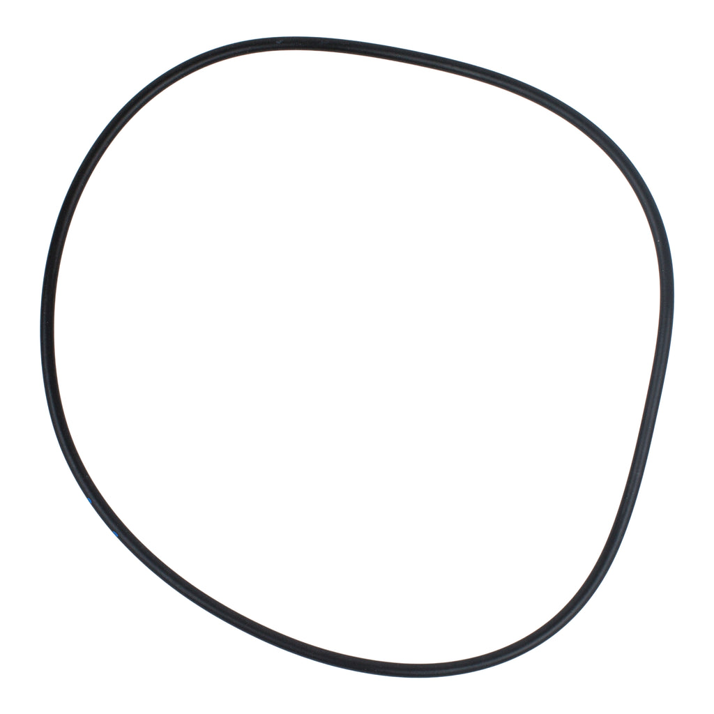 Hayward SPX1705Z1 - Housing O-Ring Gasket