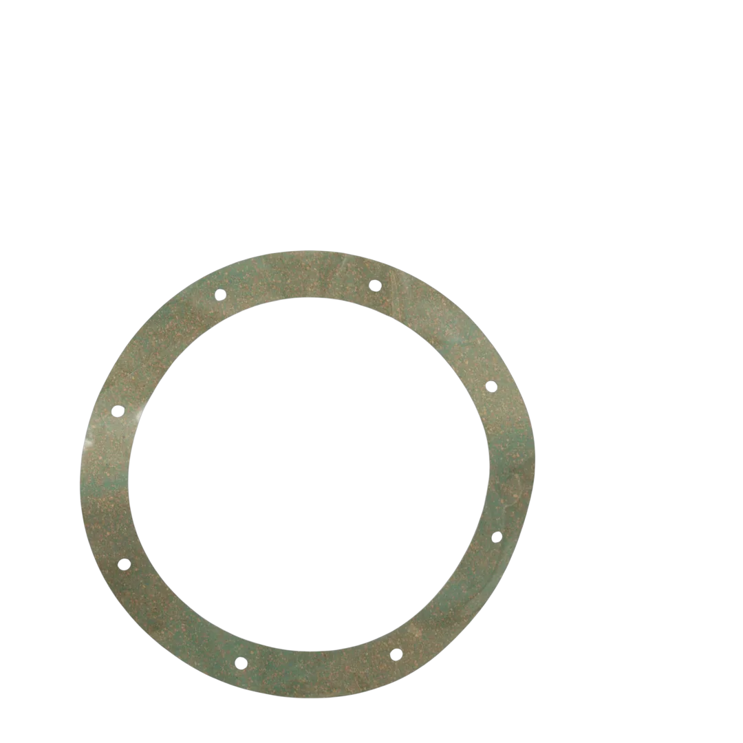 Sta-Rite StarGuard Main Drain Gasket