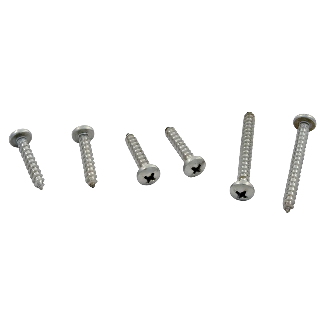 Sta-Rite GW9504 Screw Kit
