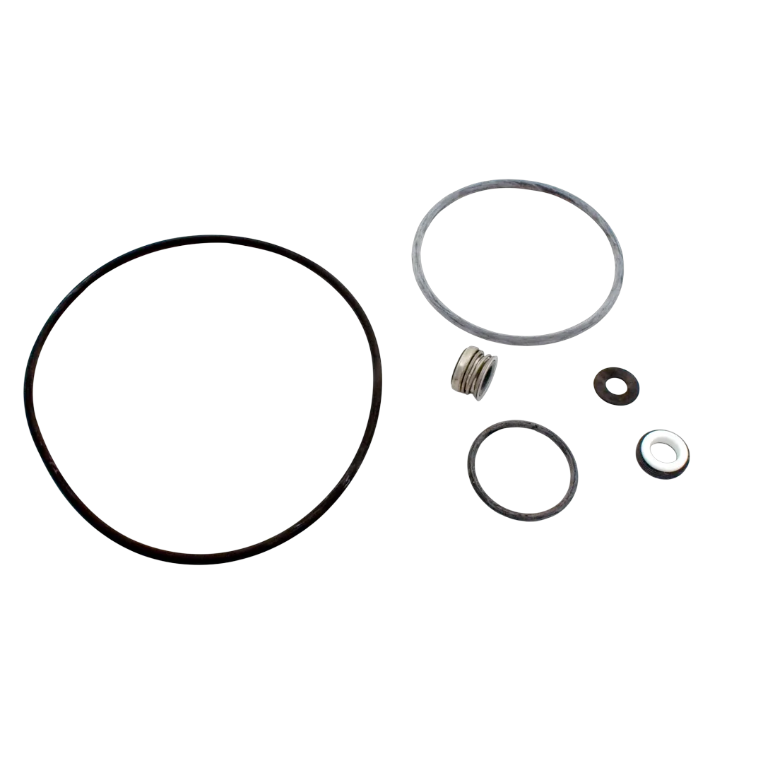 Sta-Rite PP4200 Seal Gasket Replacement Kit