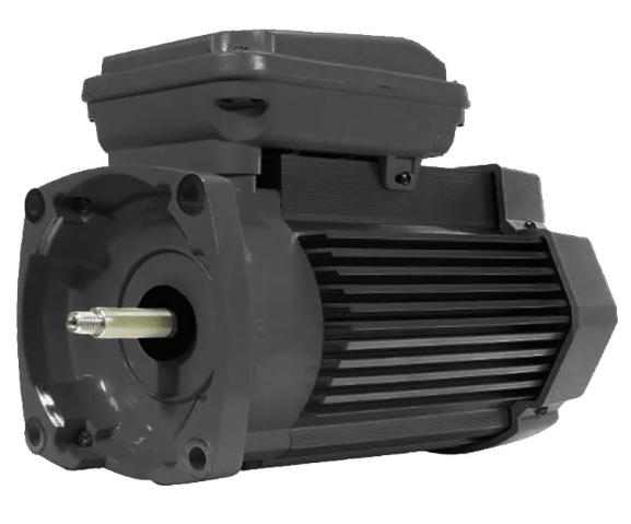 Sta-Rite 1 HP TEFC Motor - 354822S