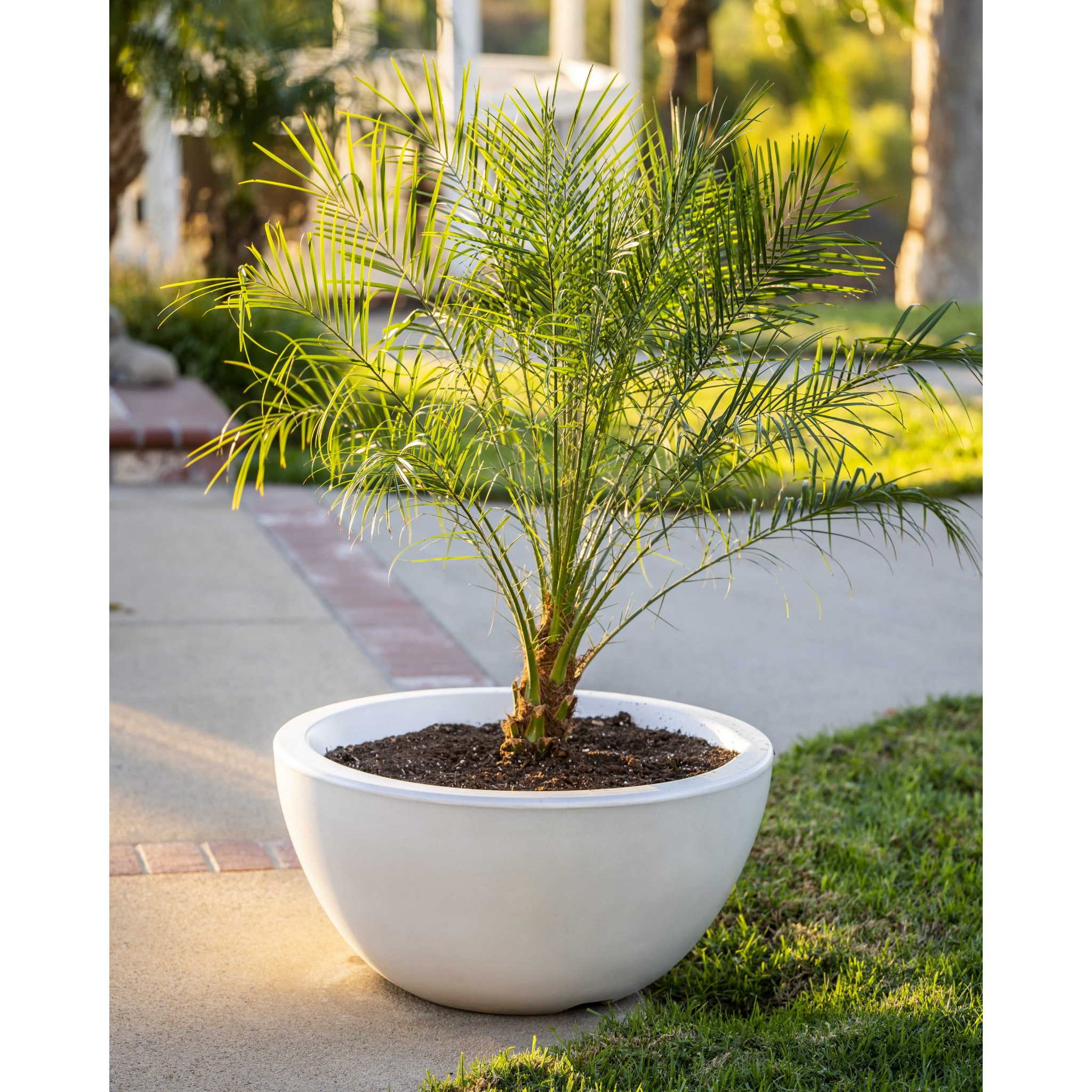 The Outdoor Plus Luna Planter Bowl, 30", Round, GFRC Concrete | OPT-LUNPO30