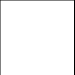 Paralon 2 Pool Coating – White (1 Gallon (gal))