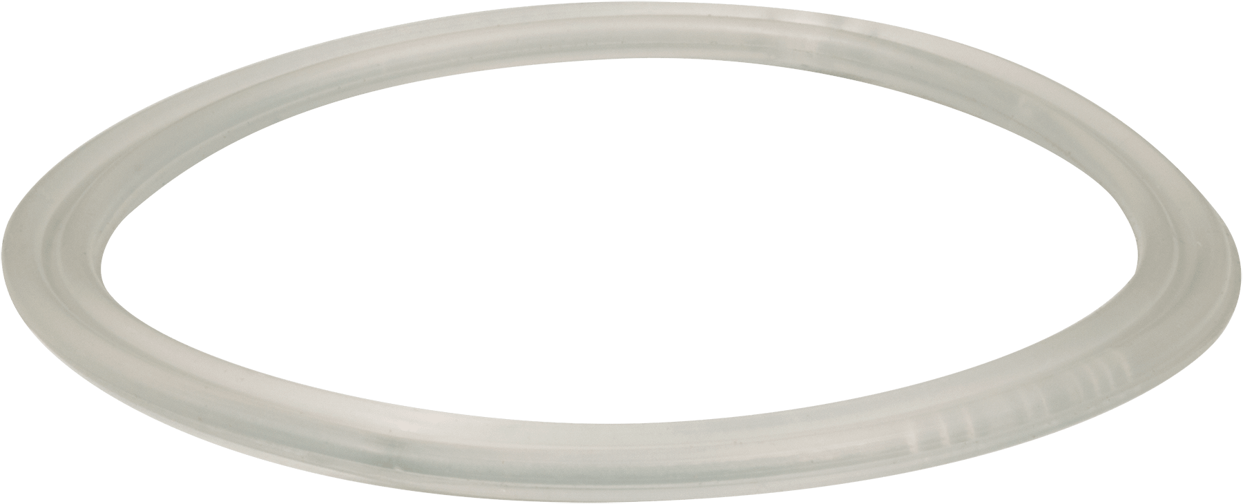 Waterway Plastics Flat Gasket, for Diverter Valve Assembly | 711-4310