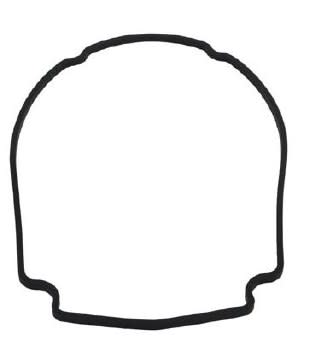 Waterway Pump Faceplate Gasket | 806-1400