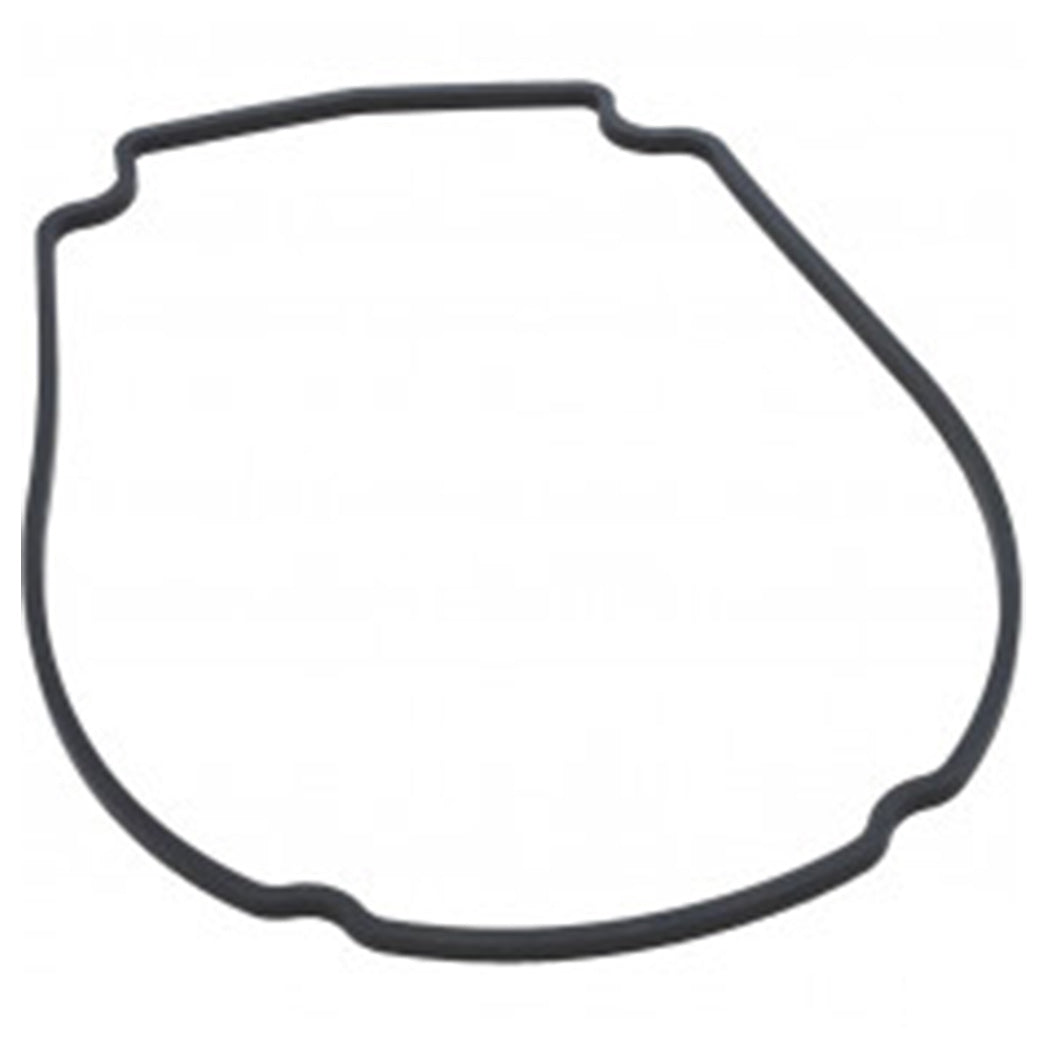 Waterway Faceplate Gasket for Mustang Econ Flo and Champion Pumps | 806-1400 / 711-1400Waterway Faceplate Gasket for Mustang Econ Flo and Champion Pumps | 806-1400 / 711-1400