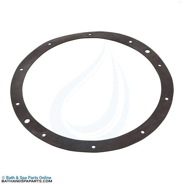 Aladdin Generic Light Niche Rubber Gasket (G-110R)