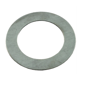 Pentair Thrust Washer, 51021600