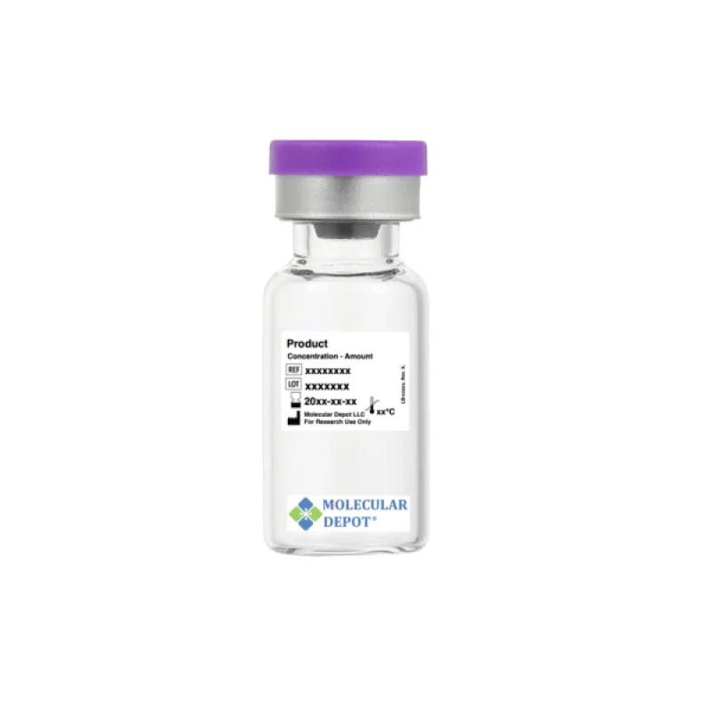 Anti-Casein Kinase II Subunit Beta CSNK2B Antibody
