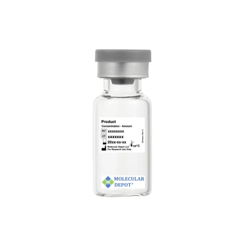 Anti-Phospho-AKT1 (Thr479) Antibody