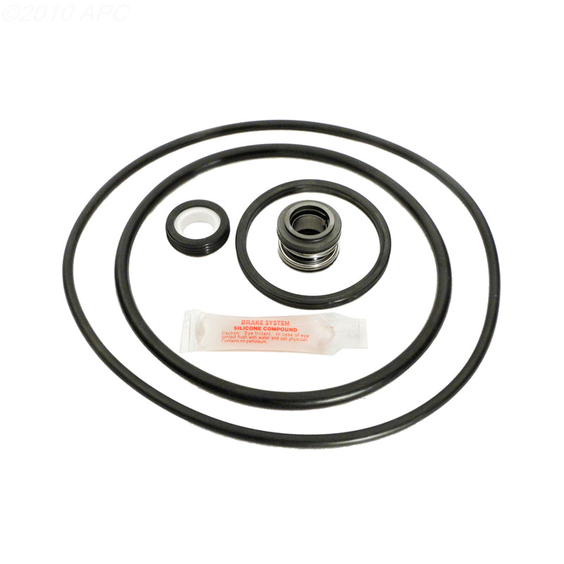 APC PacFab Pinnacle Pool Pump Repair Kit APCK1018 APCKIT24
