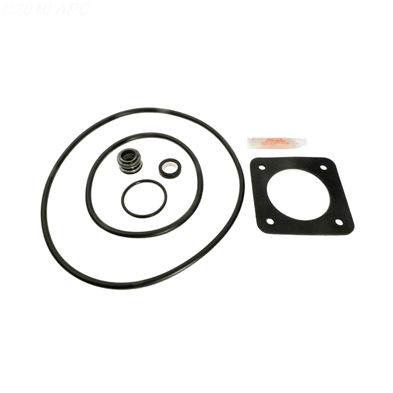 APC Sta-Rite P2R P2RA Dura-Glas Max-E-Glas Repair Kit APCK1057