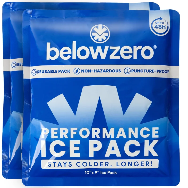 Below Zero Prefilled Reusable Ice Packs for Coolers | Long Lasting Freezer Ice Blocks for Camping, Lunch Bags & More | 48 Hour Cooler Ice Pack Technology | Medium 10x9 (2-Pack)