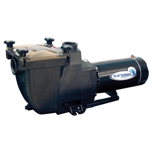 Blue Torrent 1.5 HP Inground Pool Pump