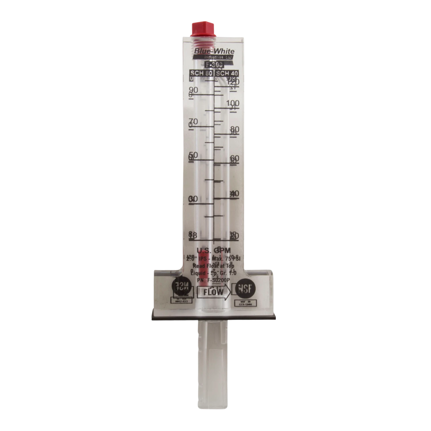 BlueWhite 2 inch Horizontal Flow Meter 20-120 GPM | F-30200P