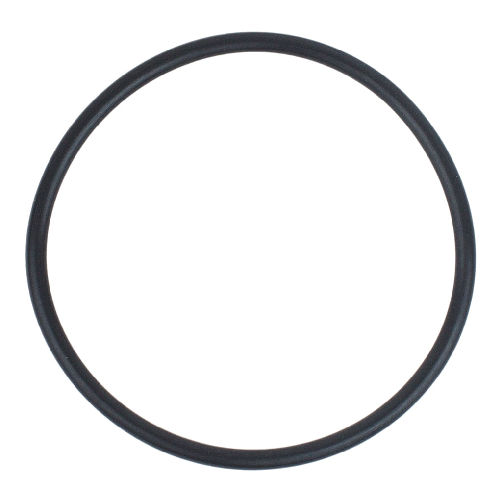 Hayward SPX1500W - Strainer O-Ring