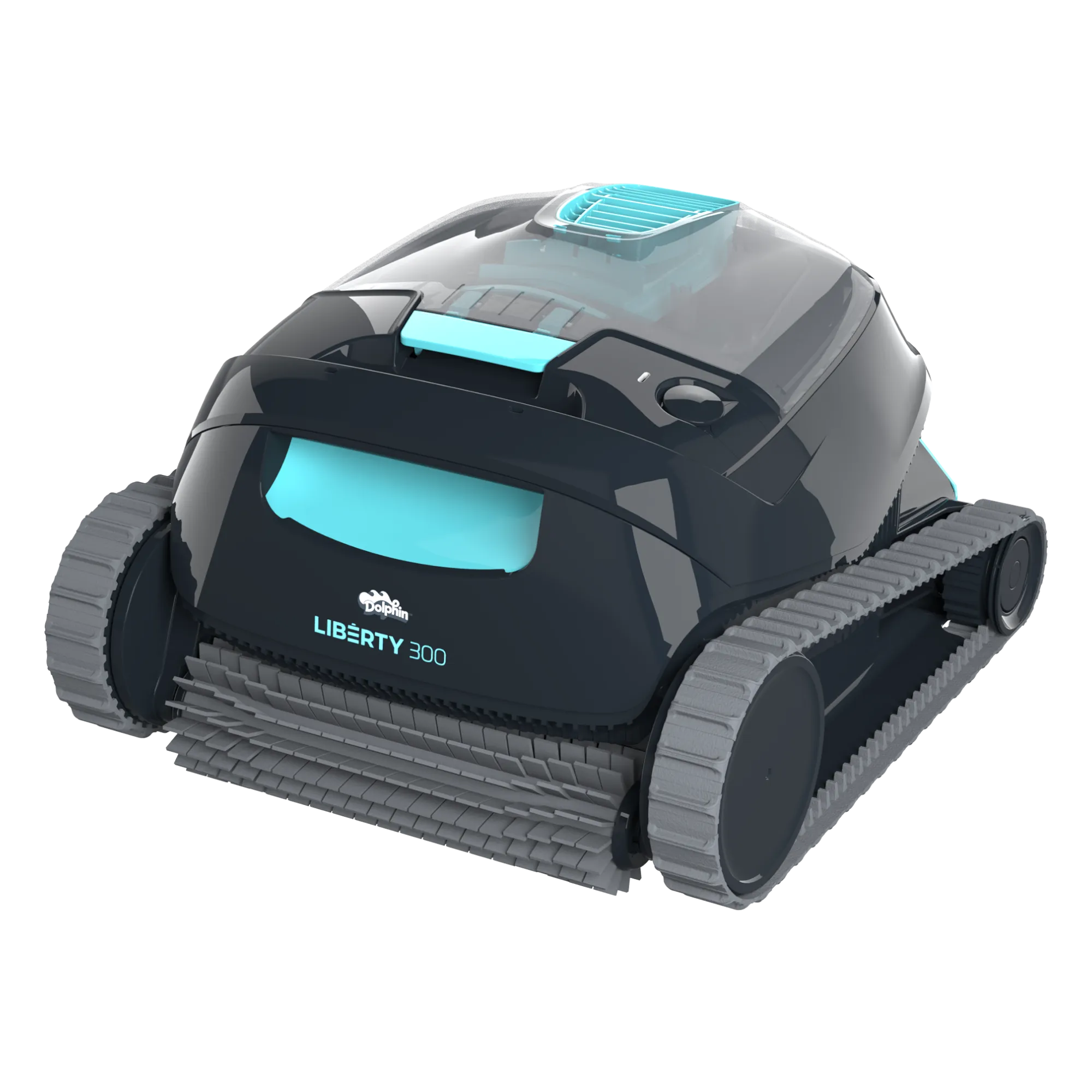 Dolphin Liberty 300