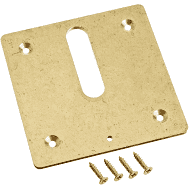 Jandy Minijet Cover Plate MJ6370 - Brass (PVMJ6370)