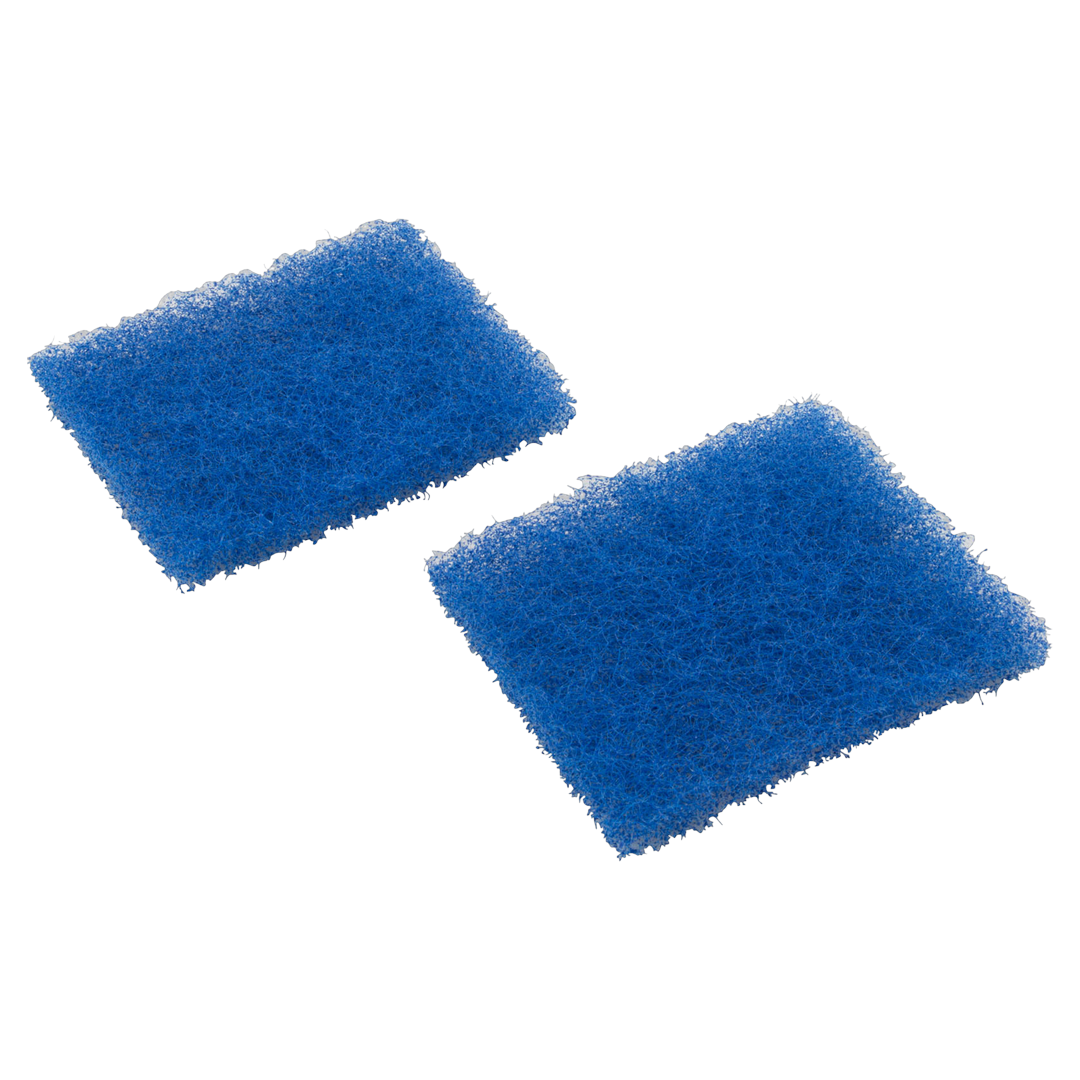 Hayward Door Filter Element Set of 2