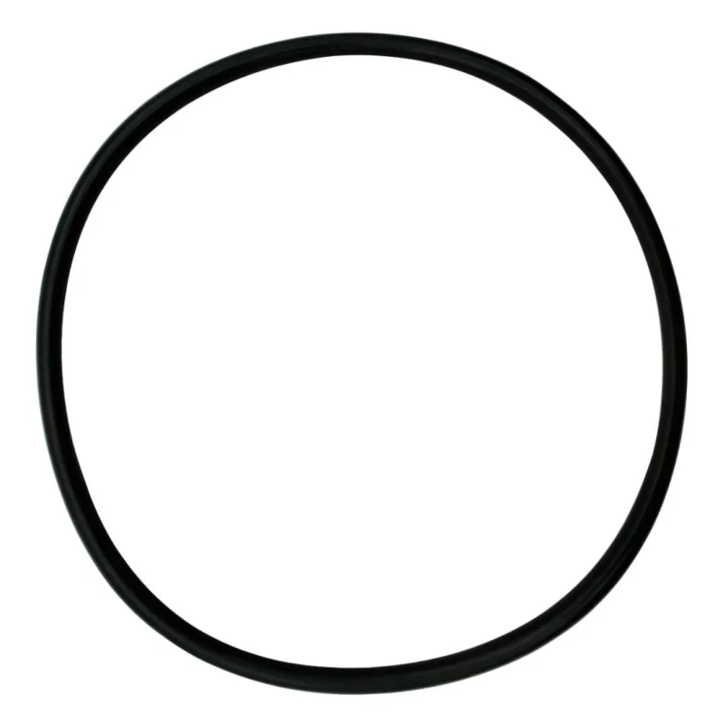 IntelliFloXF/WhisperFloXF VSF/VS Pump Lid/Locking Ring O-Ring Assembly - Intellipro Vsf Intellipro 2 Vst Post 2018 Parts And Accessories | 35505-1440
