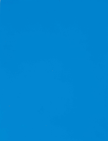 Lomart Pacific Blue Heavy Duty Above Ground Liner