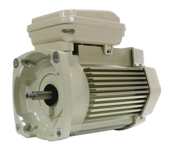 Pentair 2 HP Pump Motor Square Flange 1-Speed 3-Phase 208-230/460 Volts 60 Hz, 354809S