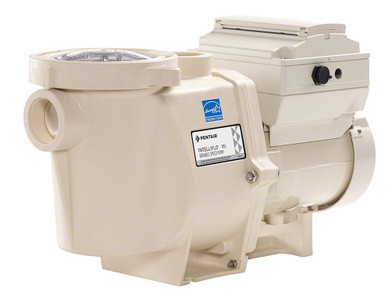 Pentair I1 Variable Speed Pump, EC-011059