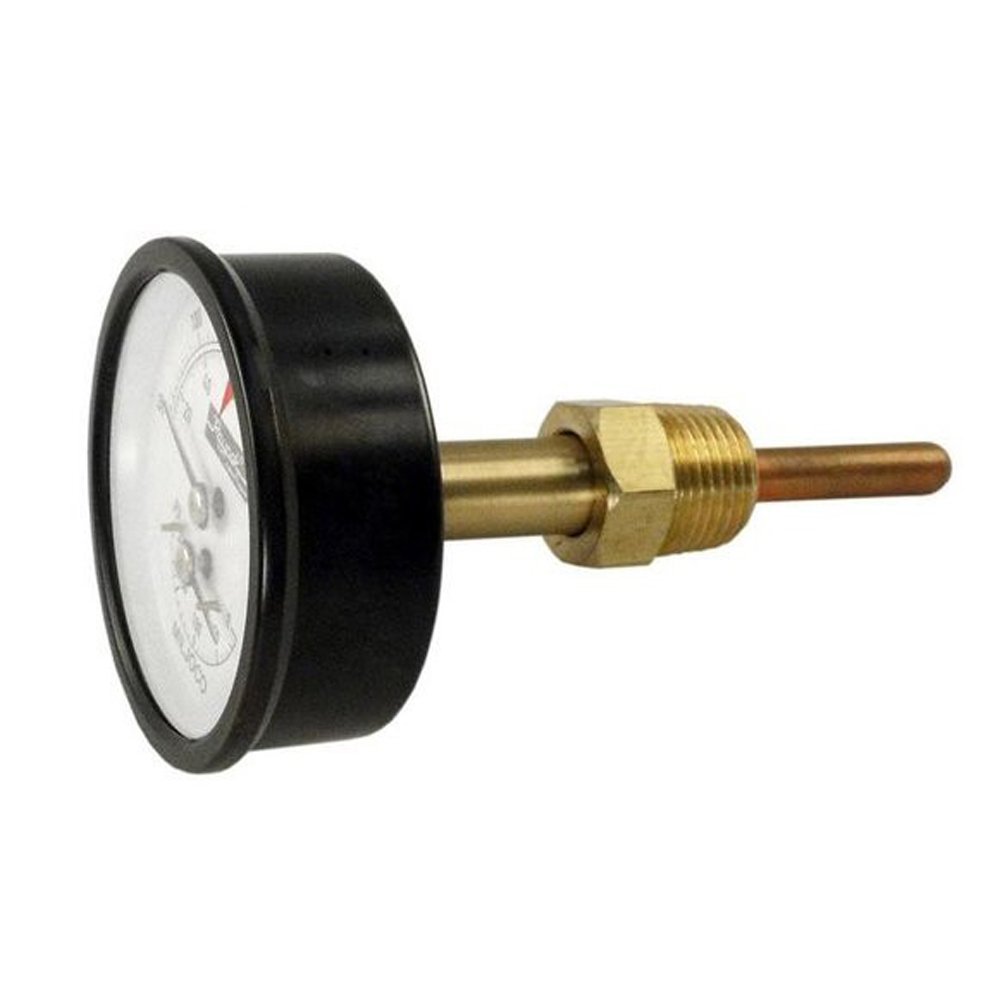 Raypak Temperature & Pressure Gauge, Replacement | 007399F