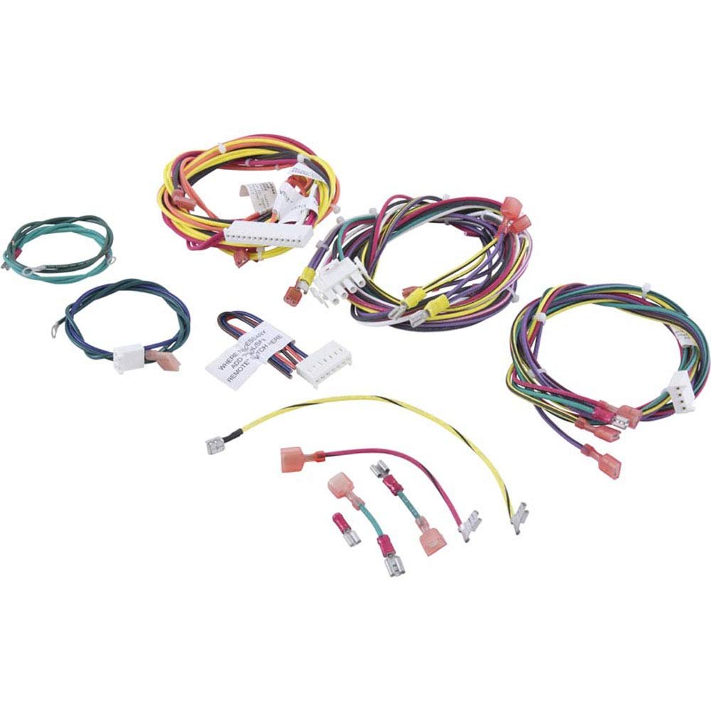 Raypak IID Wire Harness, for Electronic Ignition Heaters | 010347F