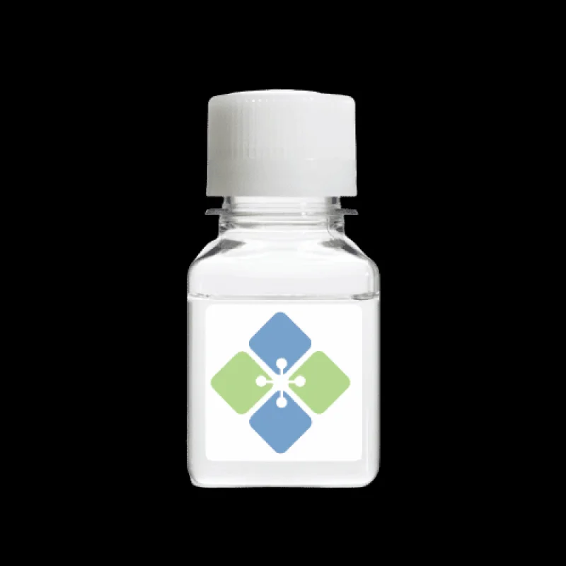 Methylthialazole Tetrazolium (MTT)