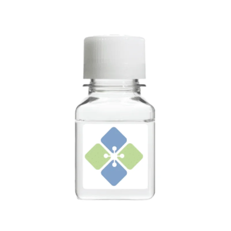 Mouse Monoclonal FOLR3 Antibody
