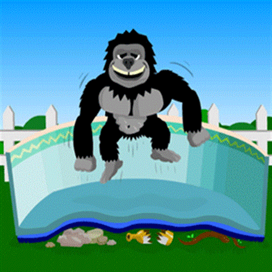 Blue Wave Gorilla 12’ x 20’ Oval Floor Padding - NL1318