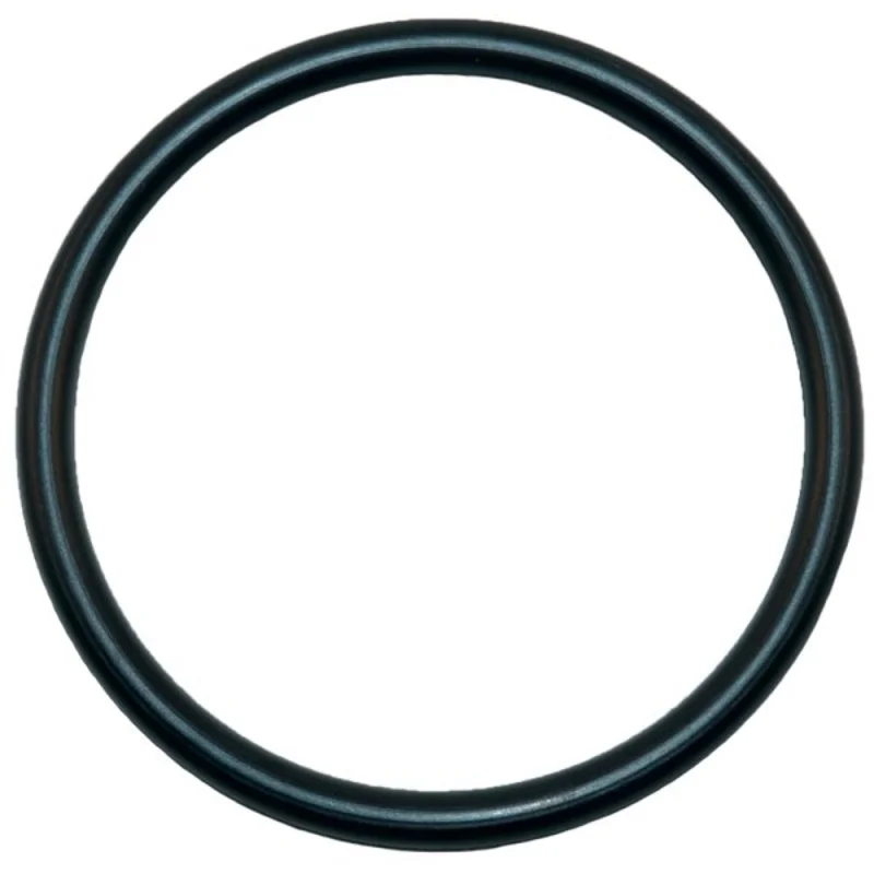 O Ring | Aladdin | O-125 | EPDM Rubber Seal | Heavy Duty Non Powered