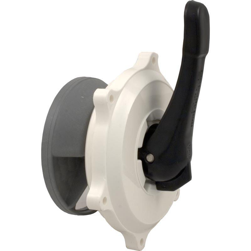 Pentair 270068 1.5" Valve Top Assembly