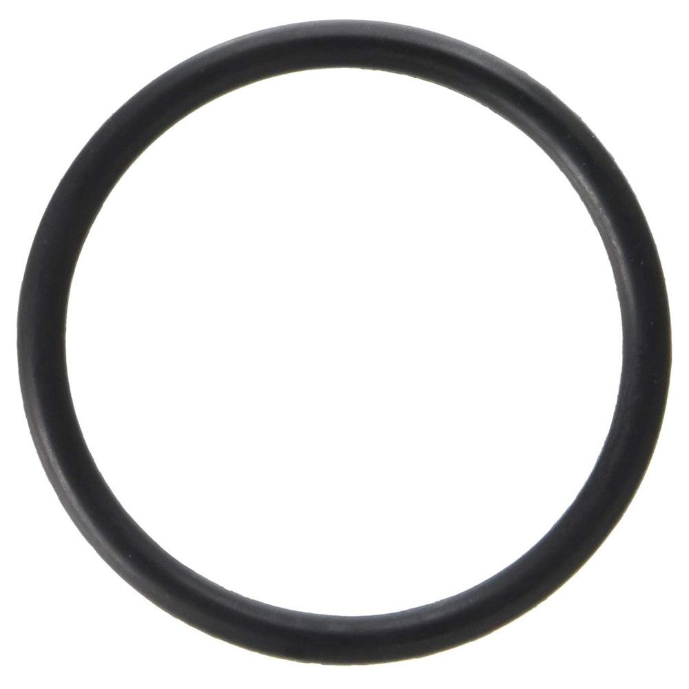 Pentair 35505-1424 System 2/3 Drain Plug O-Ring