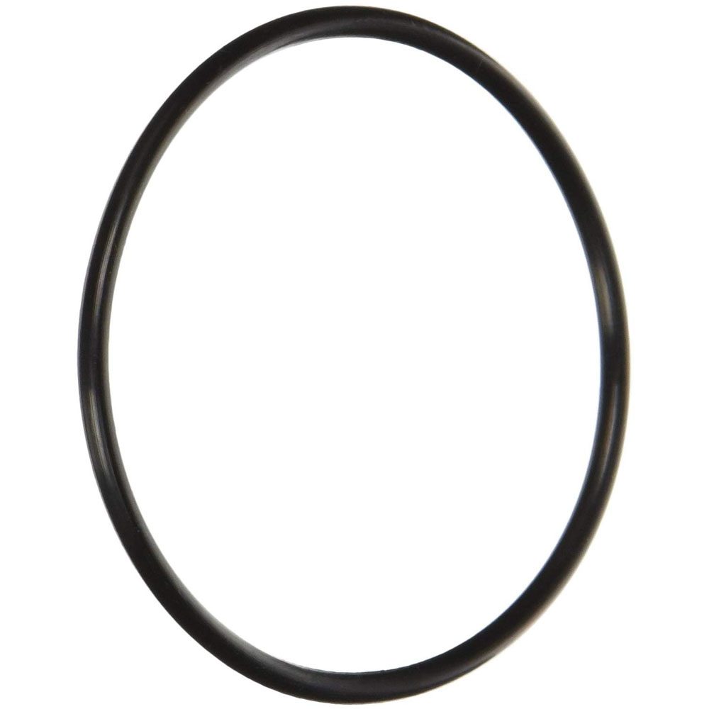 Pentair 355331Z Challenger Diffuser O-Ring - OEM Replacement