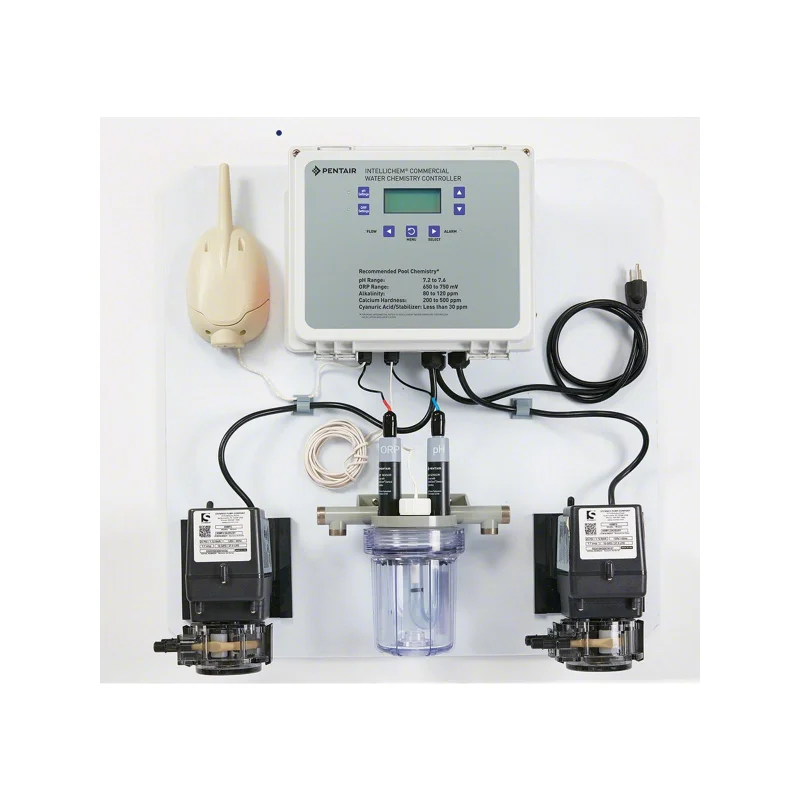 Pentair 522578 IntelliChem Commercial 2-Pump Control System