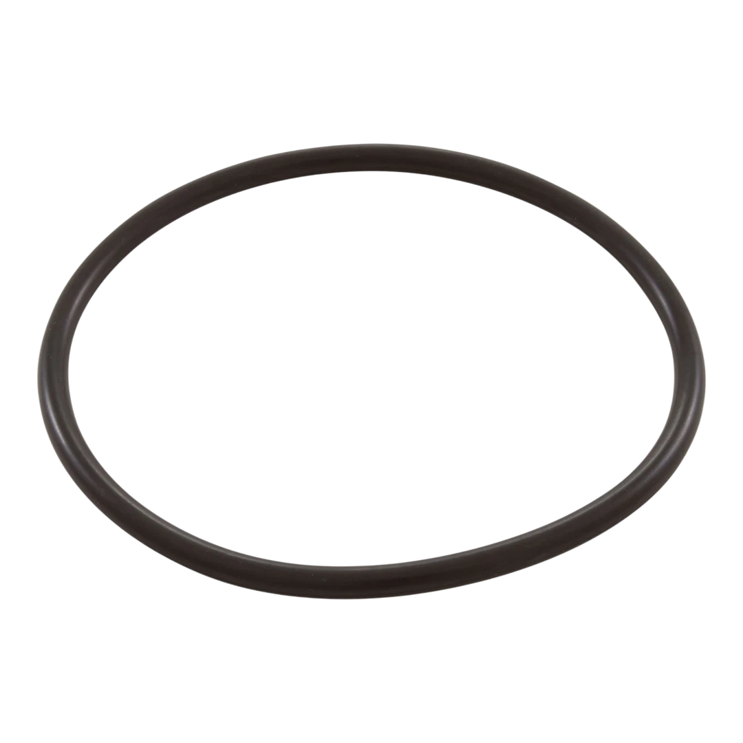 Pentair Rainbow 300/320 Lid O-Ring - R172009Z