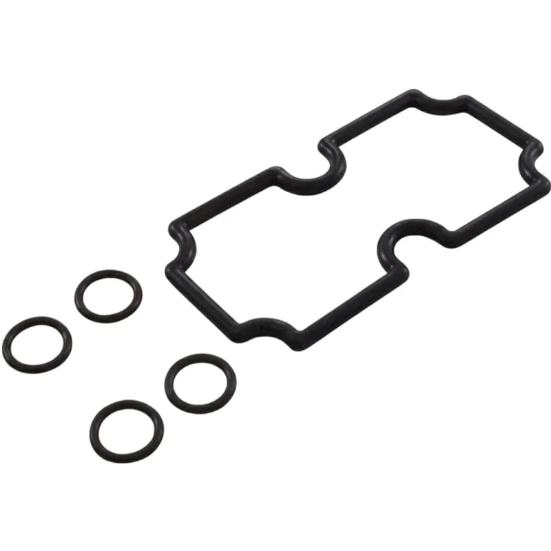 Pentair Coil/Tubesheet Sealing O-Ring Kit | MasterTemp 125 Heater | 474973