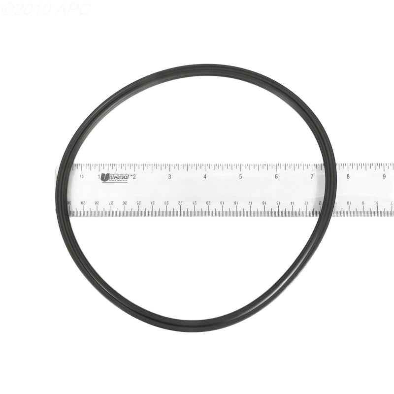 Pentair Canister O-Ring Replacement Seal | SKU 005152012000