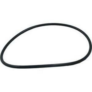 Pentair Tagelus TA100D Valve Body O-Ring 275333