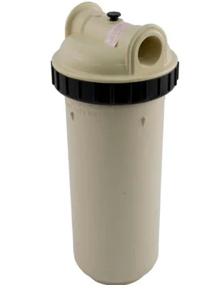 Pentair Rainbow 25 SQFT In-Line Filter Assembly R172425C FPT