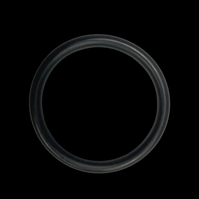 Pentair Slide Valve Shaft O-Ring | 6020006Z
