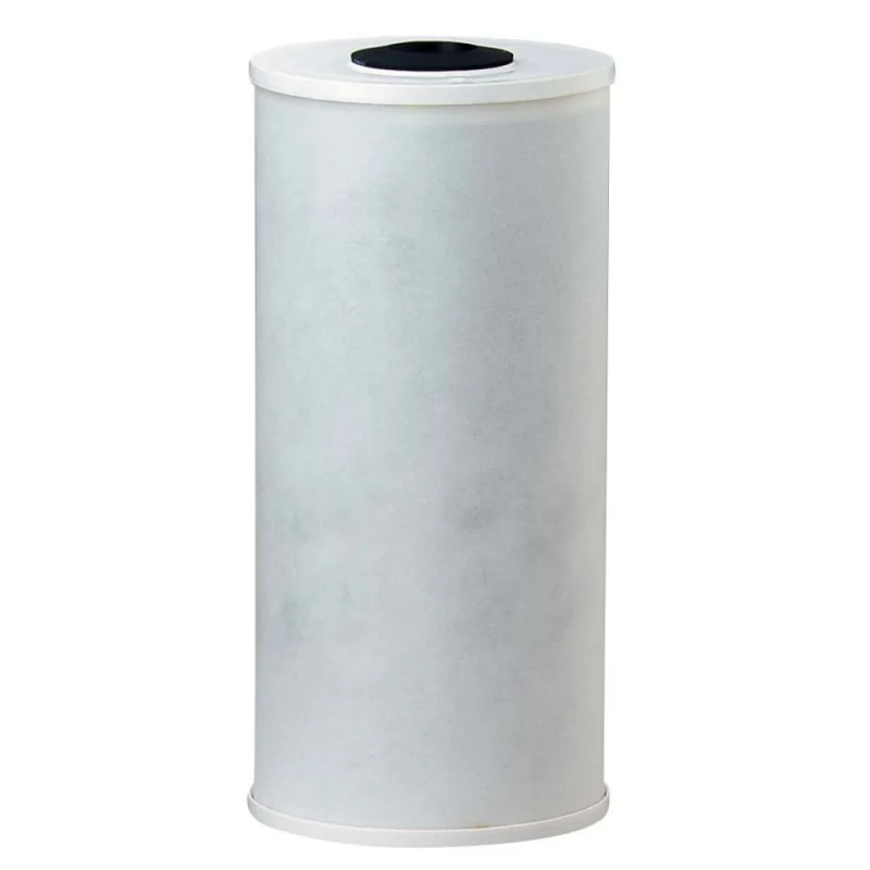 Pentek 155141-43 RFC-BB Radial Flow Carbon Filter 25 mic