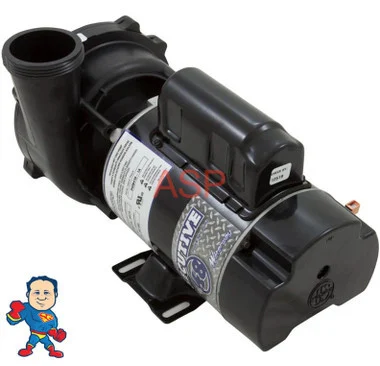 Pump, Waterway, Executive, 1.0hp, 115v, 2-spd, 48fr, 2″, OEM