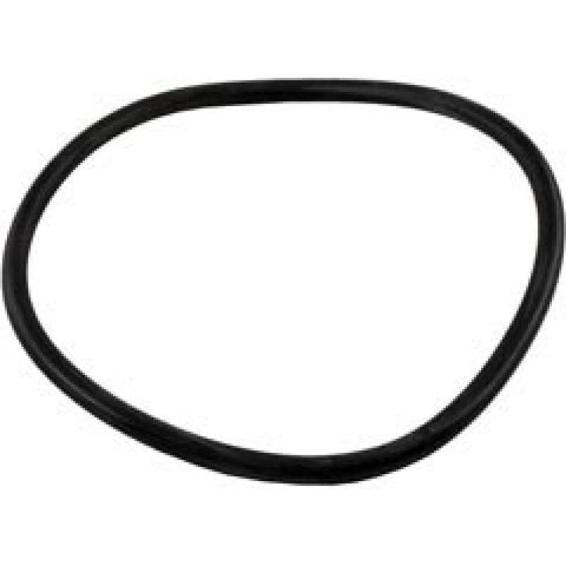 R0480200 Jandy FloPro Pump Lid O-Ring Seal ReplacementR0480200 Jandy FloPro Pump Lid O-Ring Seal Replacement